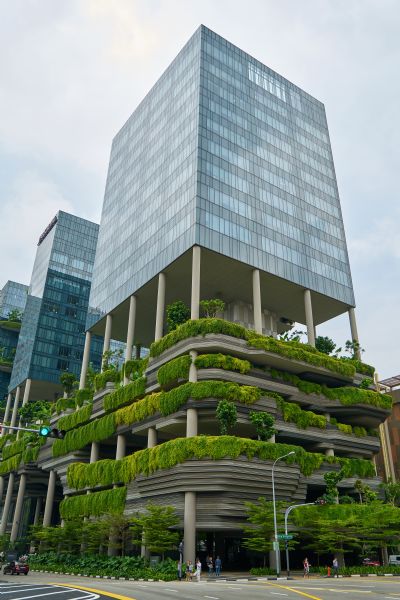 O Design Biofílico: Conectando a Natureza ao Ambiente Urbano